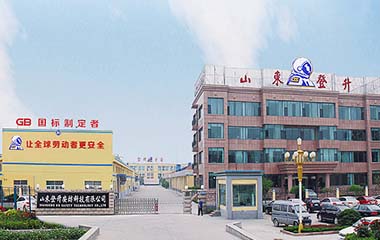 DS登升