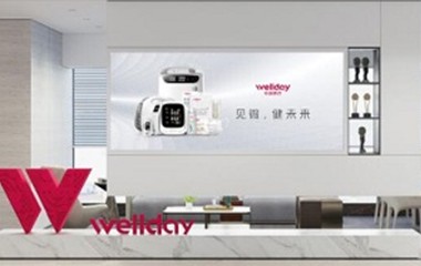WELLDAY維德