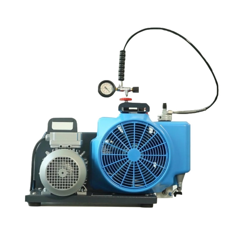梅思安10181242空氣壓縮機(jī)MSA100TW單相電機(jī)充氣泵圖片2