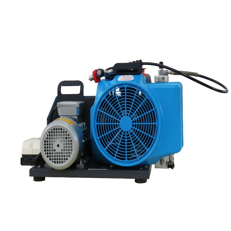 梅思安10181242空氣壓縮機(jī)MSA100TW單相電機(jī)充氣泵圖片1