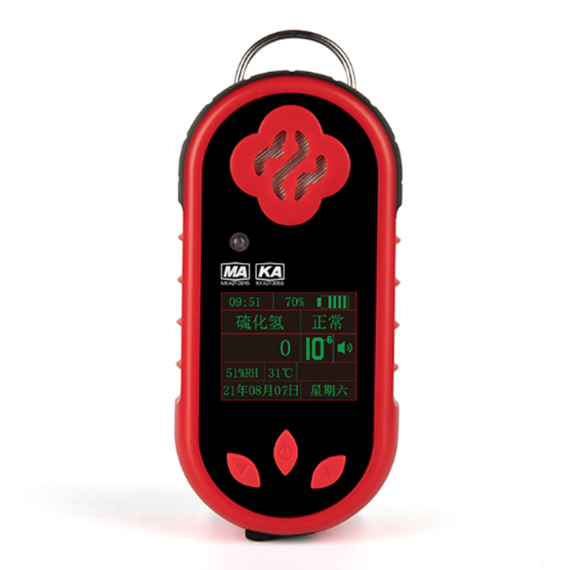 保時(shí)安CLH100硫化氫測(cè)定器