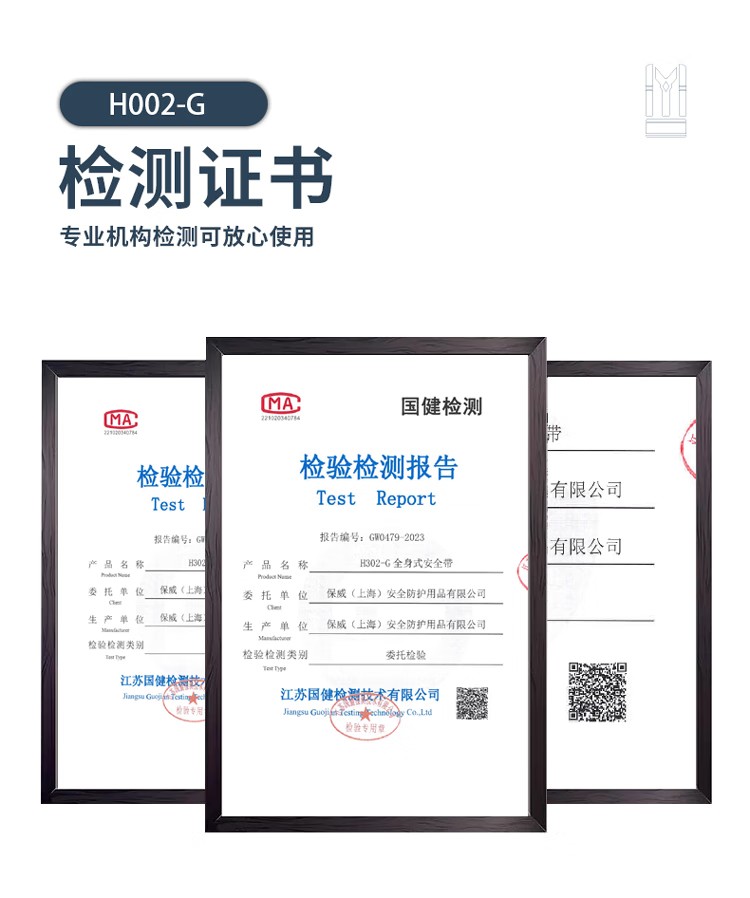 PIP H002-G經(jīng)濟款雙掛點全身式安全帶9