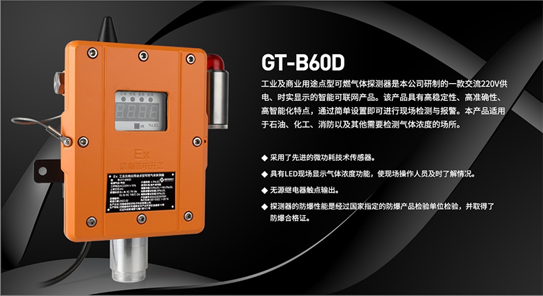 時(shí)安GT-B60D單點(diǎn)壁掛氣體報(bào)警器1.jpg