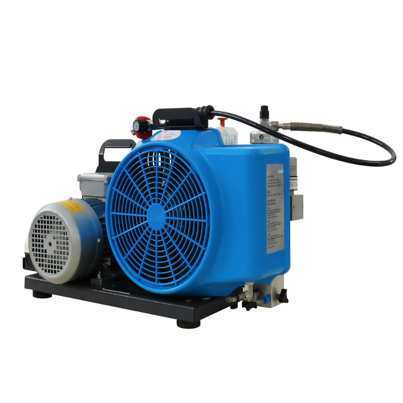 梅思安10181242空氣壓縮機(jī)MSA100TW單相電機(jī)充氣泵
